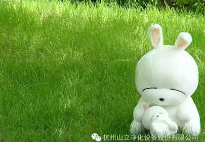 杭州永利yl23411净化，微信订阅号开点啦！